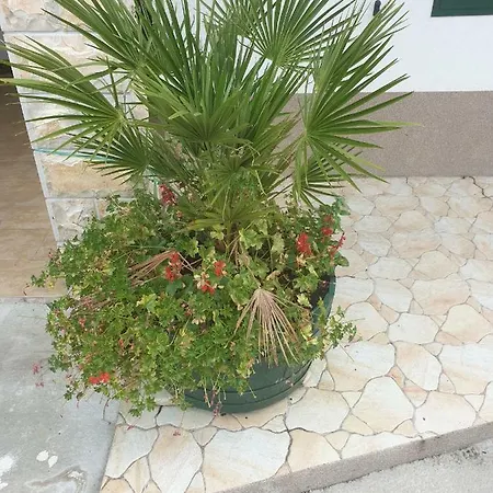 Apartmani Ljubo Split Exterior foto